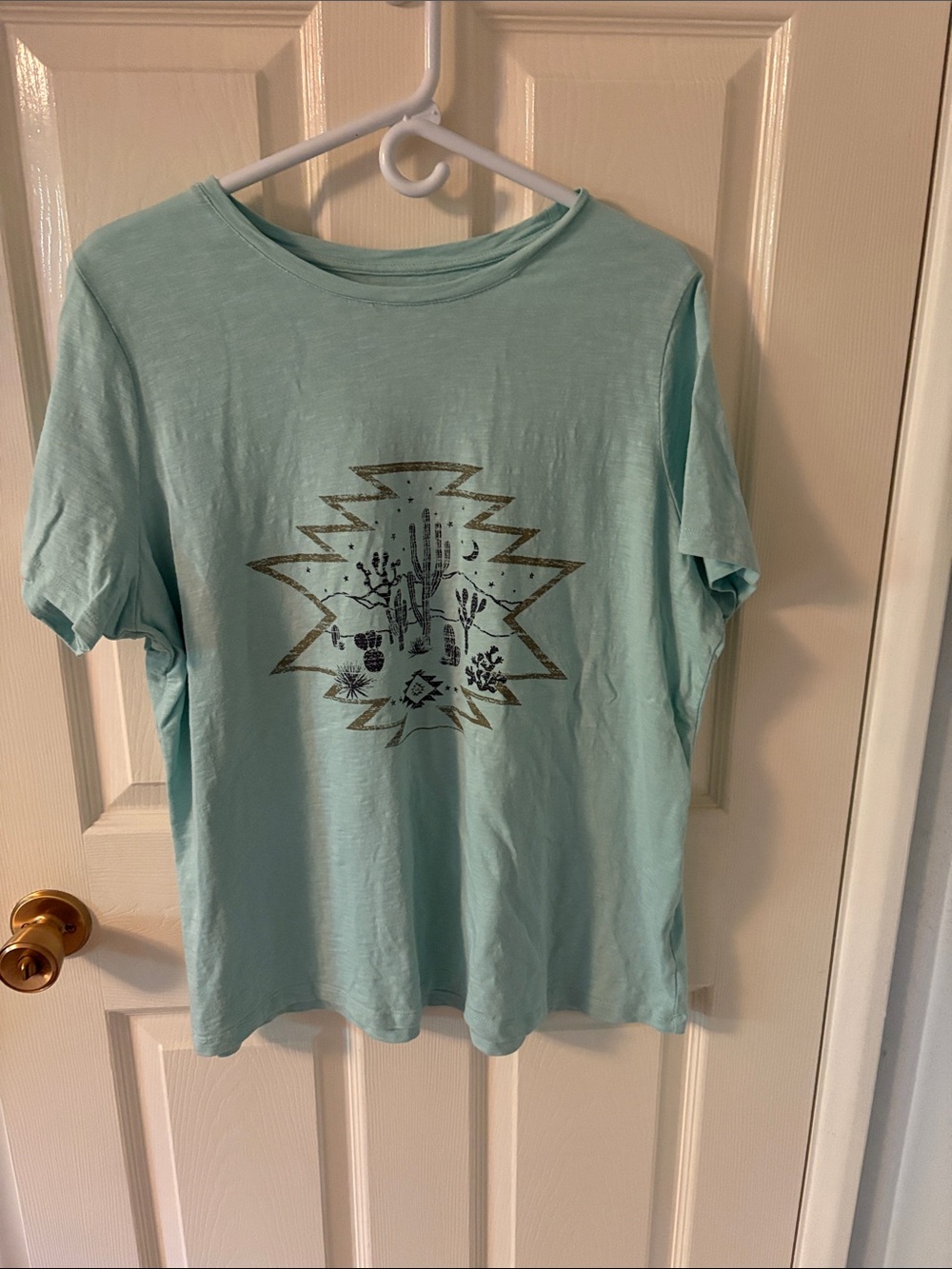 Canyon Retreat Light Mint Short Sleeve Tee with Metallic Desert Graphic  1X